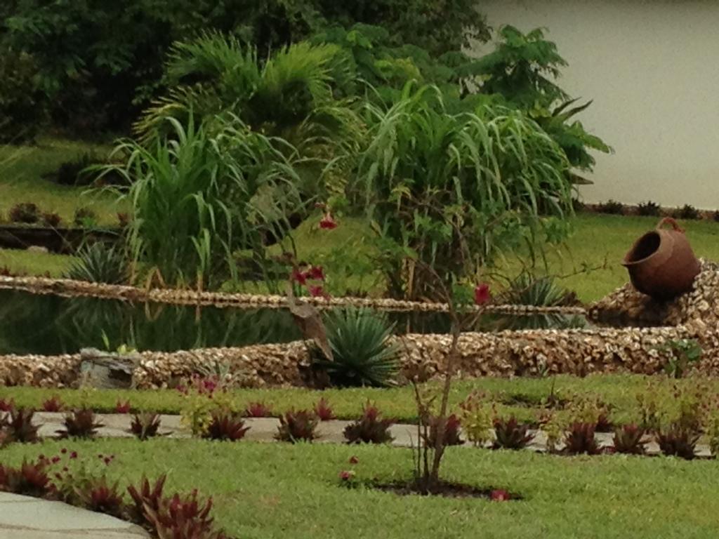 Marula Park Villa Diani Beach Cameră foto