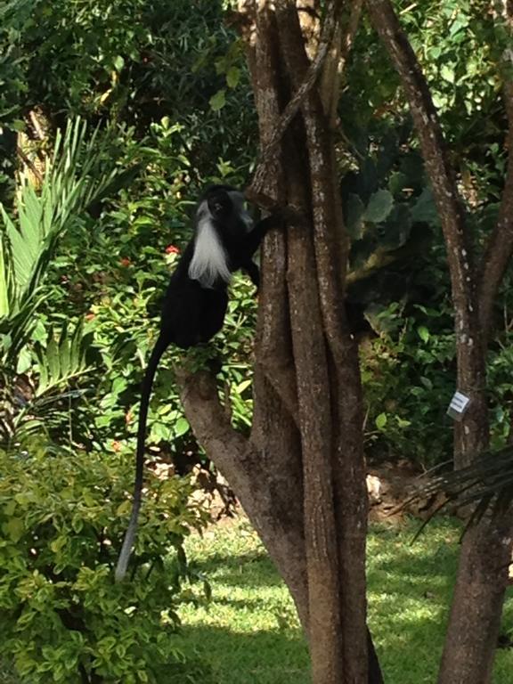 Marula Park Villa Diani Beach Cameră foto